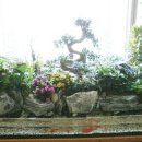 정원인테리어 이미지