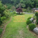 새땅공인중개사사무소 이미지