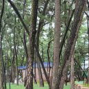 송림숲화장실 이미지