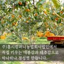 불향원 이미지