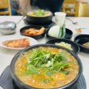 순창 흑염소고을 | 순창맛집 흑염소고을에서 흑염소탕 맛보기