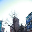 구지시장 티스토리