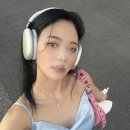 솜이랑 이미지