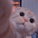 (주)덕해 Daum카페