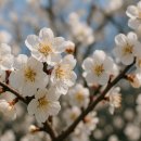 메이드유 이미지