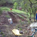 산소농장 이미지