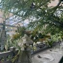 논현2-126 | 빌라드지디 논현 하객 후기 / 식사, 홀 분위기, 셔틀버스