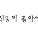 식물공방 이미지
