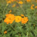 씨 사이드 | 영종도 씨 사이드파크 염전 관람 후기