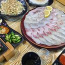 포차올레 - 제주시 | 포차올레