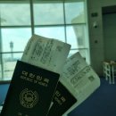 구시청 꽃집 | 1일차 신혼여행_독일 프랑크푸르트(아이젤너다리&amp;유람선, 뢰머광장, 프랑크푸르트대성당)