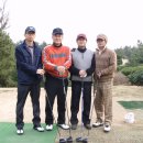 덕원골프 Daum카페