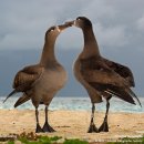 성일중학교 이미지