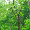 향수(온산) 이미지