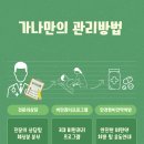 지나비만관리실