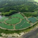 생태습지 이미지