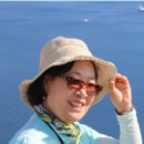 꿈의세계 이미지