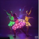비바츠LED 태권발레 | LED 태권발레 아트포츠, 실험적인 융합공연