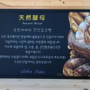 베이커리파파 이미지