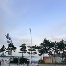골든이글스 | 울산 동구 파스타 맛집 바다뷰 데이트 코스 골든이글스 위치 메뉴 후기