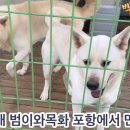 범이와