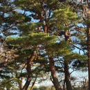 남부순환로323길 38-16 (3) | 밝은미래 산부인과(양천) 38w 출산후기 - 이제훈 원장님, 제왕절개, 분만+입원까지