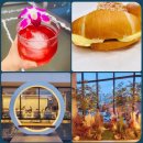 일공이공안경원 이미지