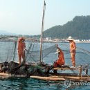 제주테우문화 이미지