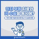 부동2 이미지