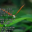 님의 향기. 비원. 이미지