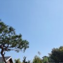 춘천산닭 산속에닭갈비 이미지