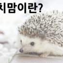 엄마라는이름으로 이미지