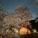 달사랑 | 달사랑 캠핑장 예약 흐름까지 정리된 이용기