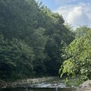 풀무산 | 양평 풀무산 캠핑장