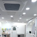 신데렐라의원 | 사직동의원 백옥주사 + 신데렐라 주사 솔직담백 후기