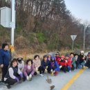 송백자전거도로 이미지