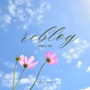 [공지] 블로그 입문, 글쓰기 좋은 계절 가을에 도전해보세요! - 리블로그