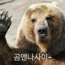 북카페눈 네이버블로그