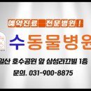 라페스타 동물병원 이미지