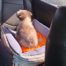 통영장사도펜션 이미지