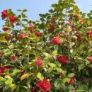 북부권 코스 이미지