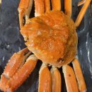 진참치본점 이미지