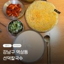 선덕 | 강남 역삼역 맛집 '선덕칼국수역삼본점' 콩국수후기(feat.치즈감자전)