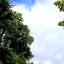 건들바위 이미지