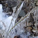 옛집멸치국수 이미지