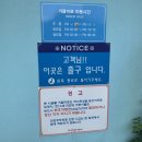 경북 여름휴가 가볼만한곳 : 대구 근교 청도 프로방스 빛축제 아이들이랑 가볼만한곳 추천!!