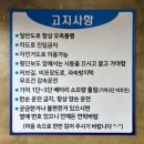 쓩쓩렌탈#
