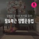 덤벨로 팔운동만 한다구요? 덤벨로 할 수 있는 팔&복근운동법 이미지