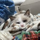 우마루(중화점) 이미지