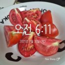 이도관 | 118일차 | 구름낀 7월 서른한 번째 날. 미라클모닝